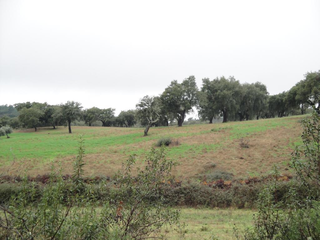 Casa Rural Sierra San Mamede ラ・コドセラ エクステリア 写真