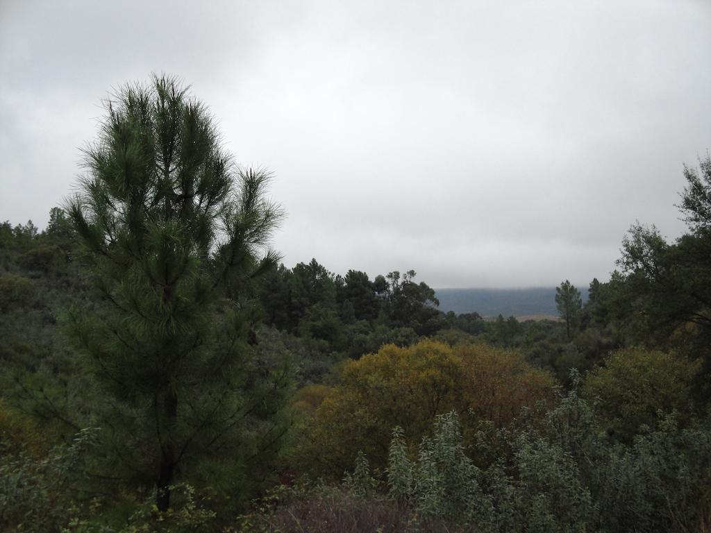 Casa Rural Sierra San Mamede ラ・コドセラ エクステリア 写真