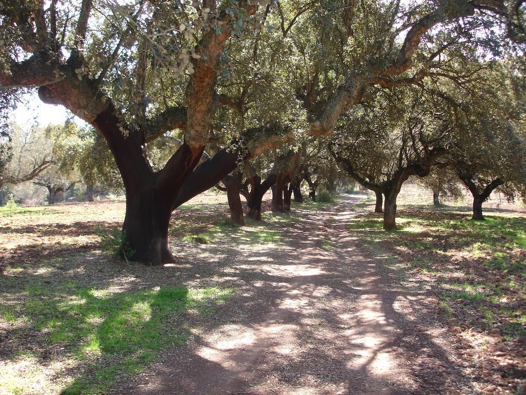 Casa Rural Sierra San Mamede ラ・コドセラ エクステリア 写真